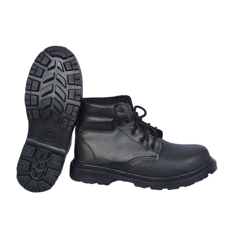 shp-12564-3