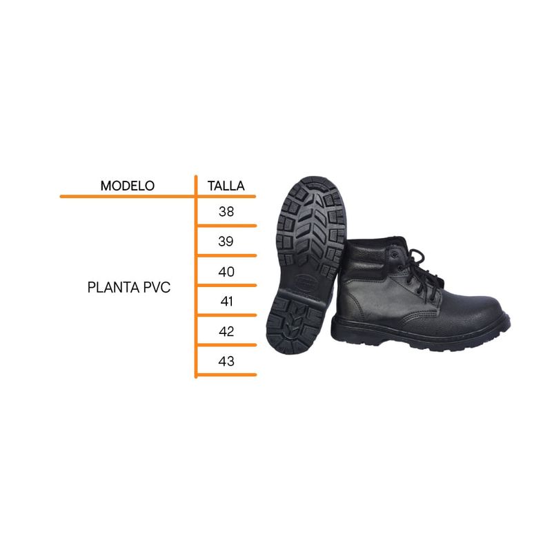 shp-12564-4