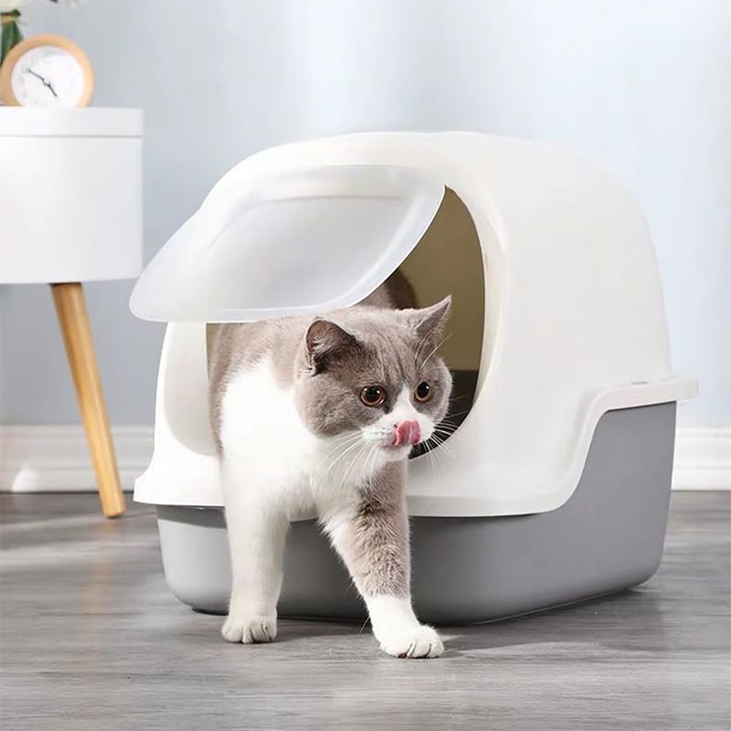 Arenero-para-Gatos-