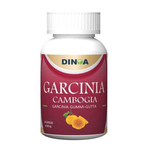 GARCINIA CAMBOGIA X100 CAPS