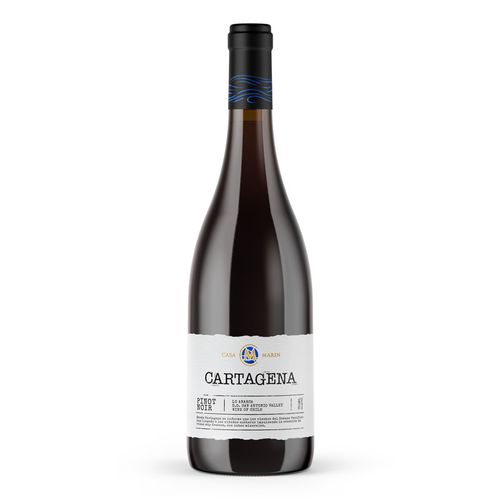 VINO CARTAGENA PINOT NOIR 2019 -750 ML