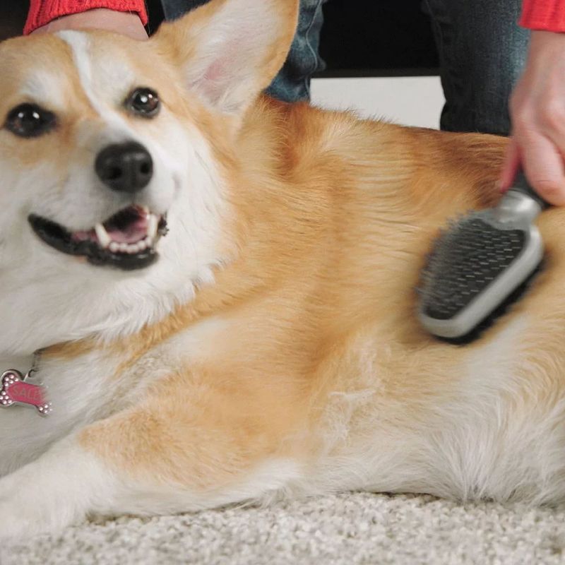 Cepillo-Doble-De-Aseo-Furminator-Para-Perros-y-Gatos