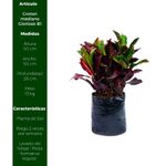 image-b7cbd5ffb5bf4127abae39dd62346fca
