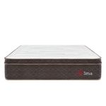 shp-1670550-0