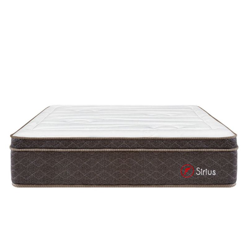 shp-1670550-0