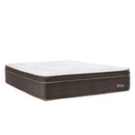 shp-1670550-1