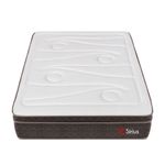 shp-1670550-3