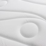 shp-1670550-4