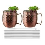 Set-x2-Mug-Moscow-Metalico-500ml---Sorbetes-De-A-Inox-Ichimatsu