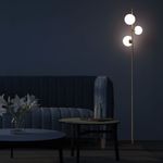 shp-153075-6