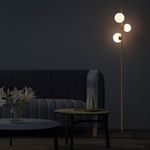 shp-153075-7