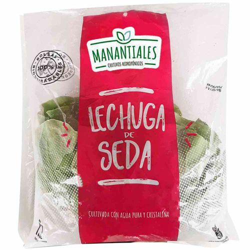 Lechuga MANANTIALES Seda Hidropónica