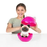 image-bfa1c53973604f3797b68f40474d5dbd