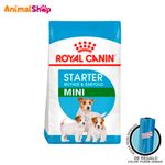 Comida-De-Perro-Royal-Canin-Shn-Mini-Starter-M-B-X-4-Kg