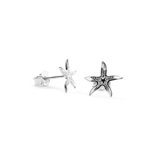 Aretes de Plata 925 Asteria