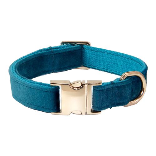 Collar para Mascotas Talla S Azul