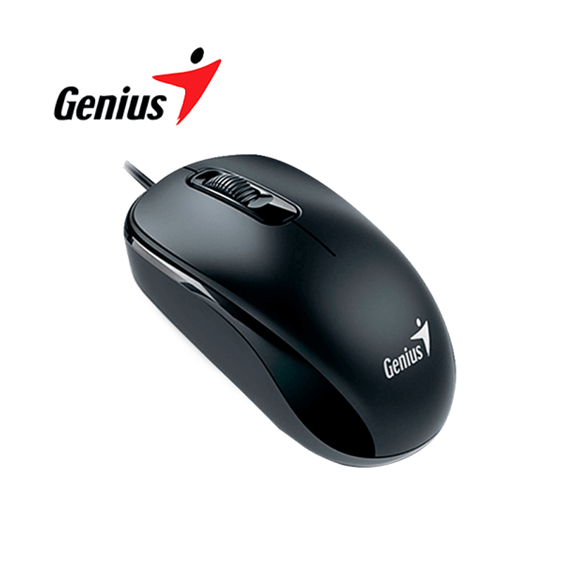 Mouse-Genius-DX-110-USB-Negro