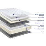 shp-1342139-4