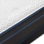 shp-1342148-2