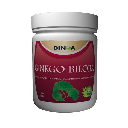 GINKGO BILOBA X80 GR