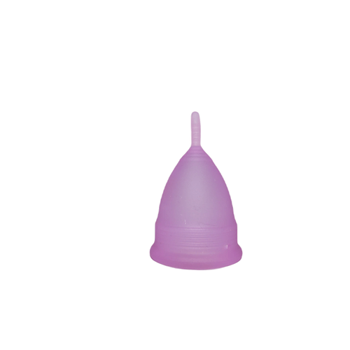 Copa Menstrual Aneercare - Morado - S