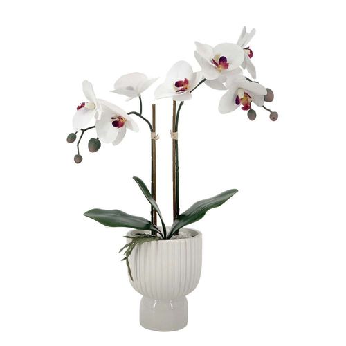 Orquidea Pot Ceramica 45cm