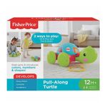 Fisher-Price-Tortuga-de-Aprendizaje