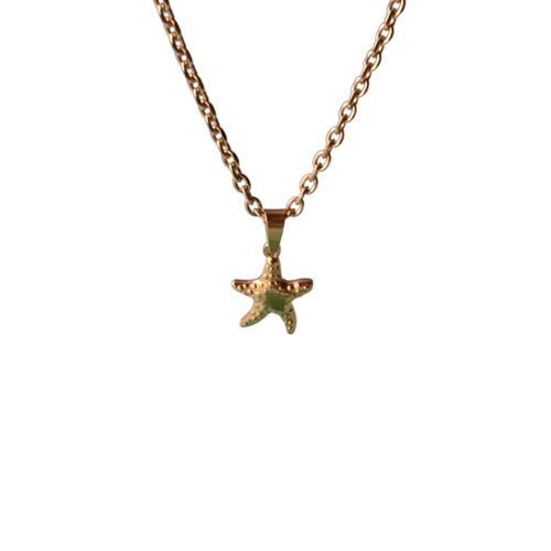 Cadena con Dije Starfish