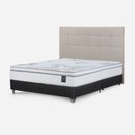 shp-2550238-0