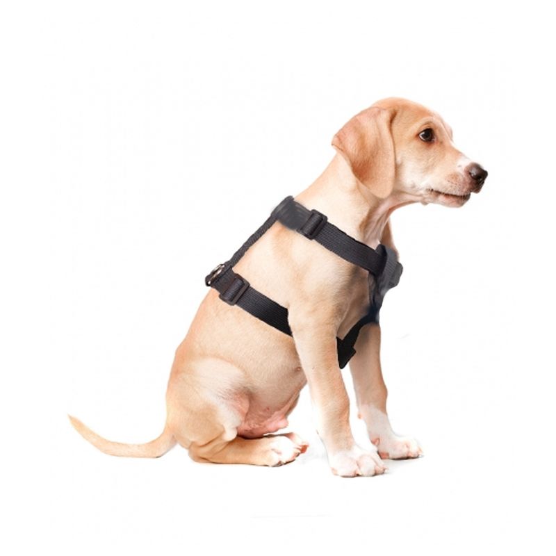 -Arnes-De-Perro-Forma-De-H-Doco-L-Negro-67-A-90-Cm-Y-Regalo