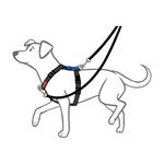 -Arnes-De-Perro-Forma-De-H-Doco-L-Negro-67-A-90-Cm-Y-Regalo