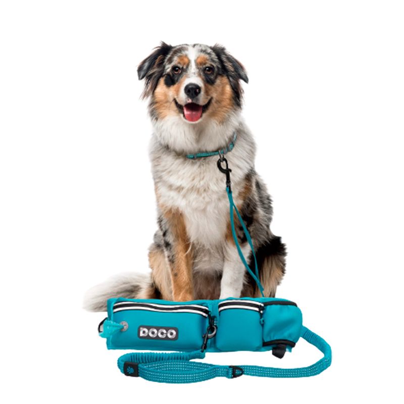 Correa-De-Perro-Correr-Ajustable-Doco-Celeste-150Cm-Y-Regalo