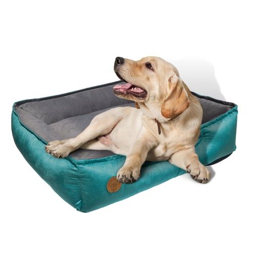 Cama para Mascota Talla M 60x50cm Perro/Gato Antialergenica | Turquesa con plomo