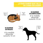 Cama-para-Mascota-Talla-M-60x50cm-Perro-Gato-Antialergenica-|-Turquesa-con-plomo-