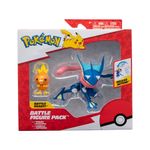 POKEMON-JAZWARES-GRENINJA-ARTICULABLE--TORCHIC