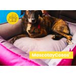 Cama-para-Mascota-Talla-XL-80x70cm-Perro-Gato-Antialergenica-|-Fuxia-con-plomo