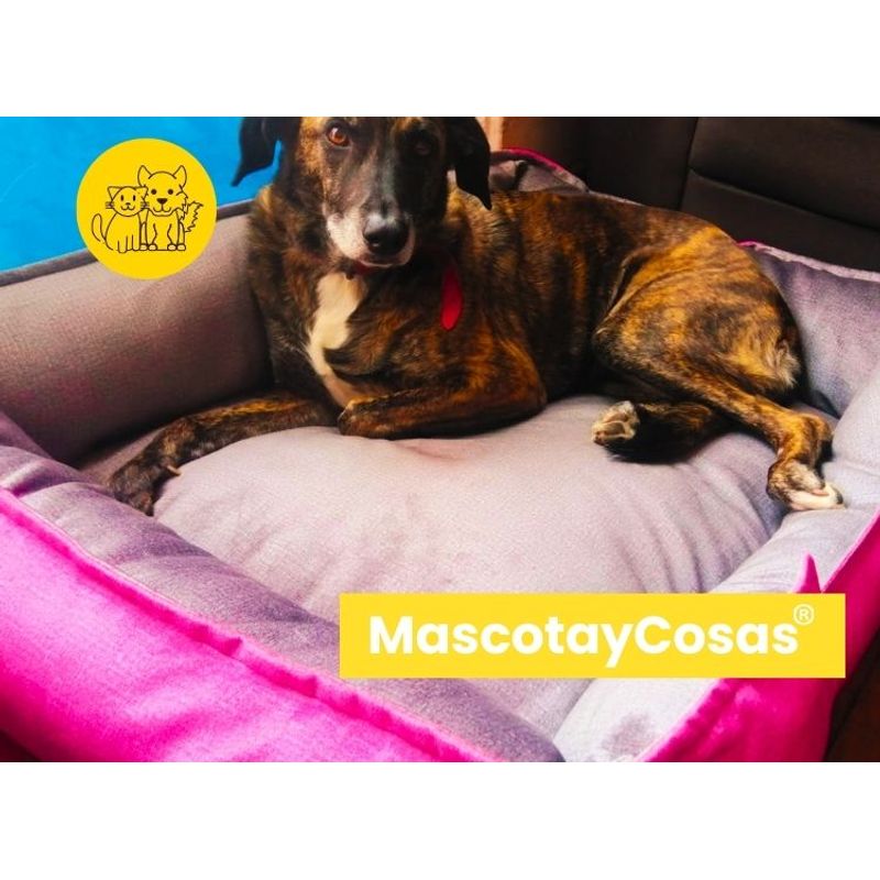 Cama-para-Mascota-Talla-XL-80x70cm-Perro-Gato-Antialergenica-|-Fuxia-con-plomo