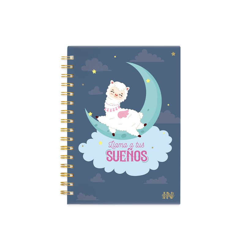 Pack-Ingenial-Llama-a-tus-sueños--agenda-diaria-infinita---calendario-2024