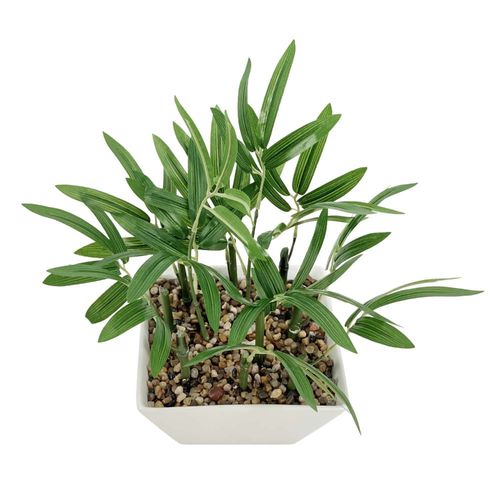 Planta Bamboo Pot Cerámica 25 cm