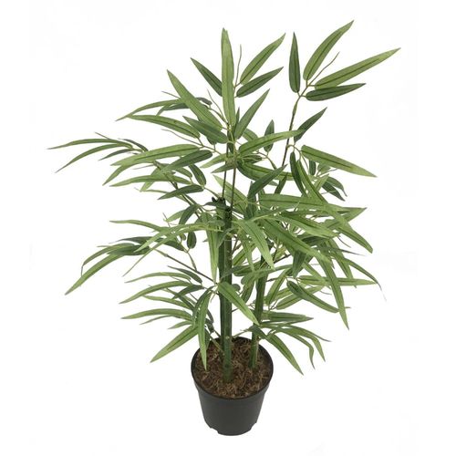 Planta Bamboo 65 cm