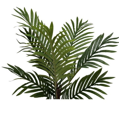 Planta Palmera 80 cm