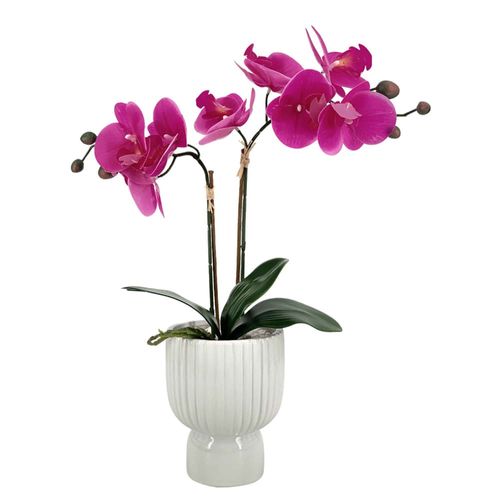 Orquidea Fucsia Pot Cerámica 45 cm