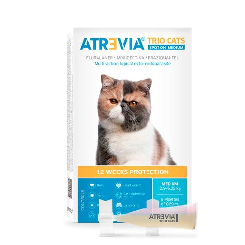 Atrevia Trio Cats Spot Medium 2.9 – 6.25 kg