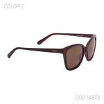 LENTES-DE-SOL-POLARIZADA-MUJER-14873-RAZZA---1018862