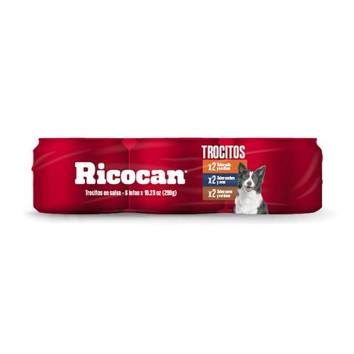 Pack RICOCAN Adulto Six Pack Sabores Variados Paquete 290g