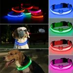 Collar-Correa-con-Luces-Mascota-Perro-Gato-Azul