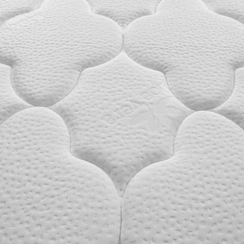 shp-10036697-2