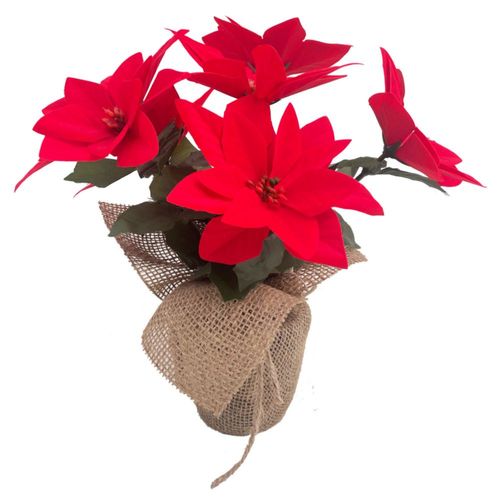 Pot Ponsetia De Navidad Rojo 30 Cm Kaz Home