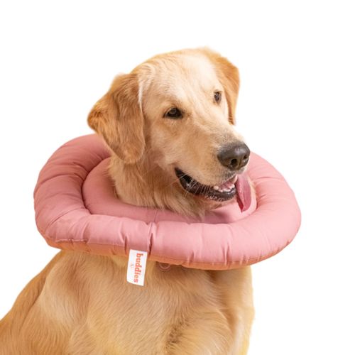 Buddies Donut Anti-lamidos Collar Isabelino Rosa L