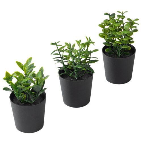 Set de Plantas DECO HOME Urbana Industrial 3un